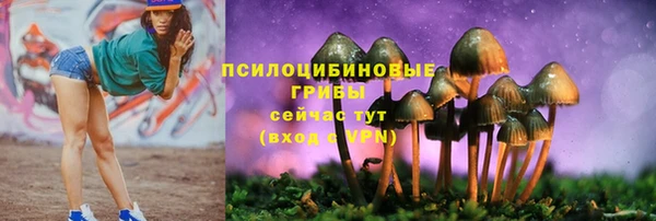 молекула духа Алзамай