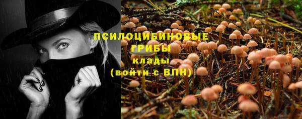 молекула духа Алзамай