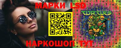 молекула духа Камышлов