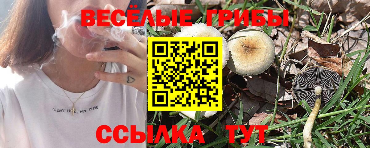 Галлюциногенные грибы ЛСД  Вход с VPN  Лысьва 