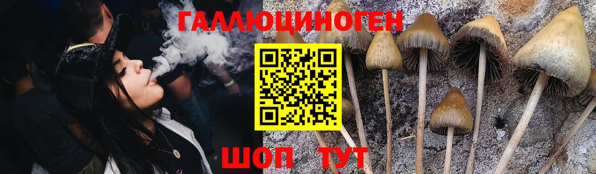 Псилоцибиновые грибы Magic Shrooms Лысьва