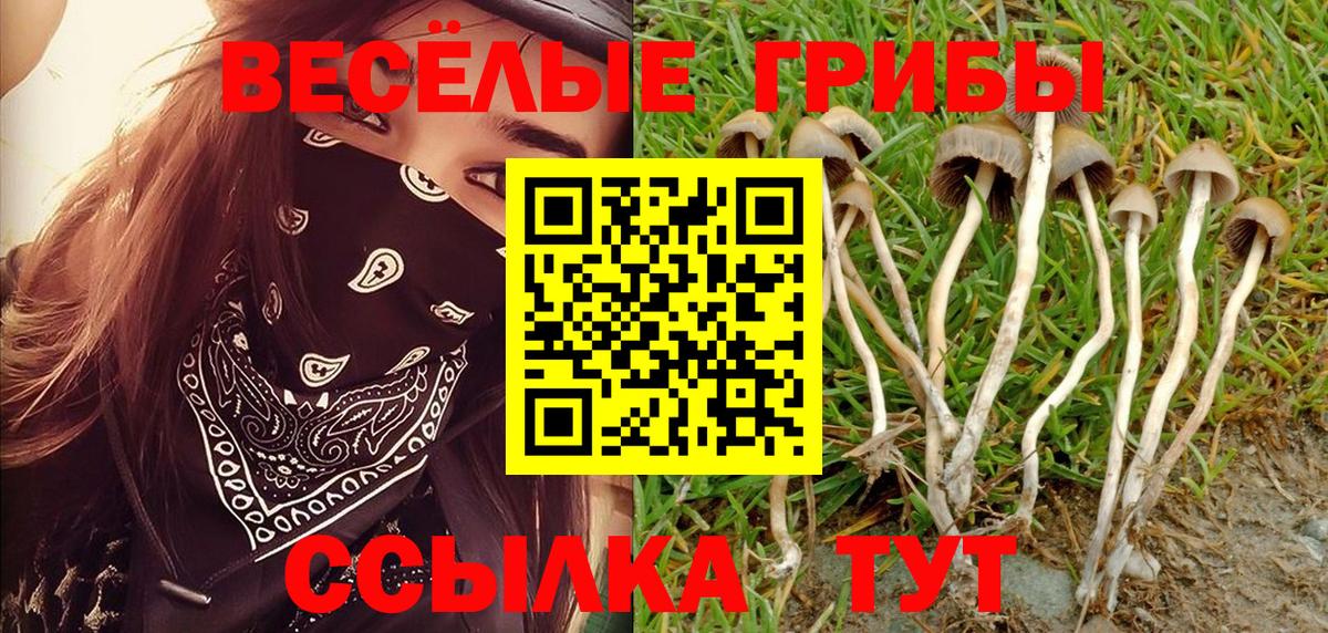  COCAIN Лысьва